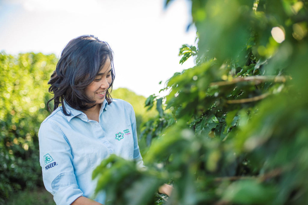 Cristiane Yuki Minami, Founder of Aequitas Coffee