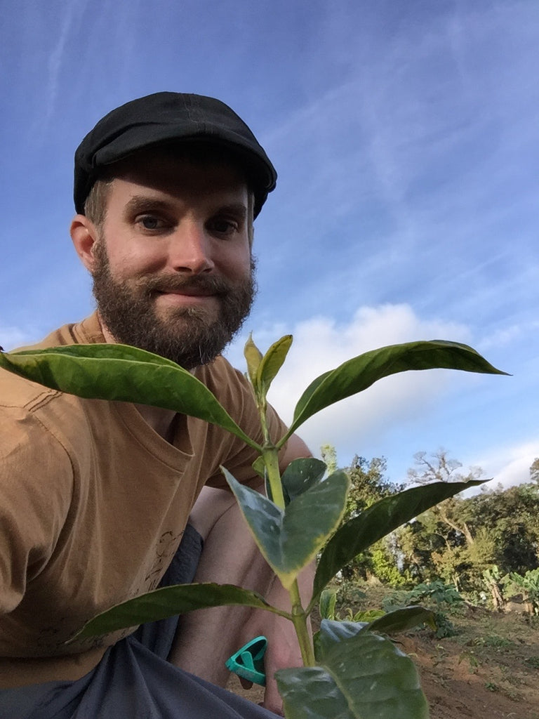 Q&A with Seth Taylor from Seth Taylor: Coffee by Design