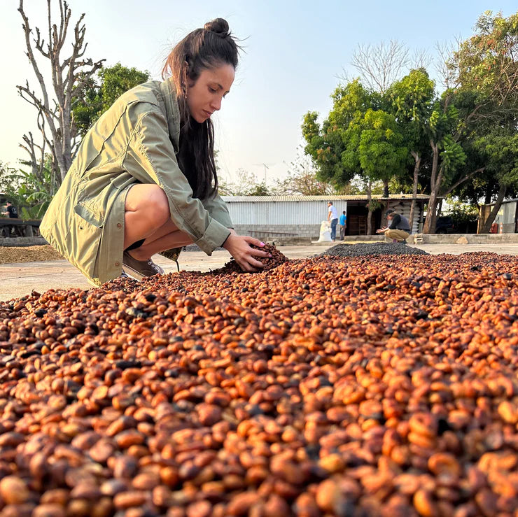 Agro Roasters
