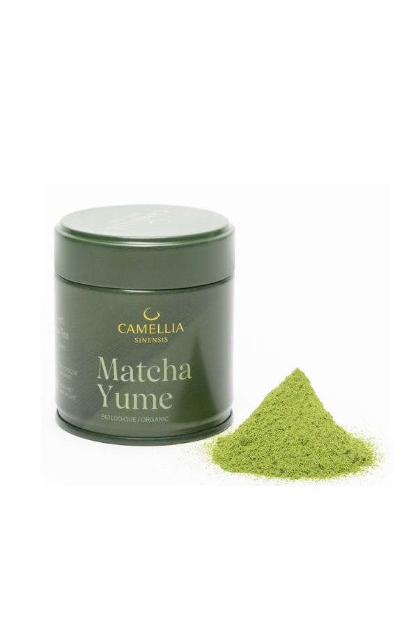 Camellia Sinensis  - Matcha Yume