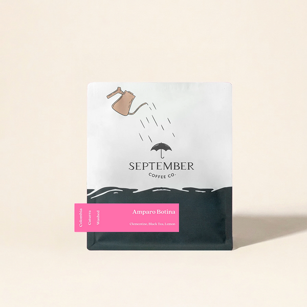 Colombia Amparo Botina Washed – September Coffee