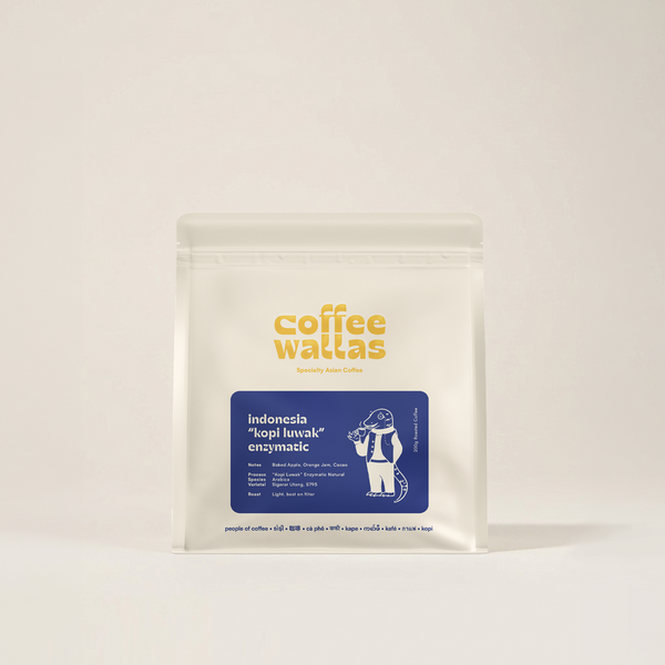 INDONESIA - Rani Mayasari Enzymatic Kopi Luwak Natural - Coffee Wallas (Toronto, Ontario)